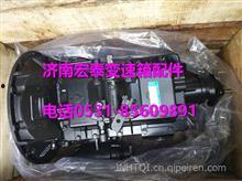 国产17p,引领科技潮流的创新之作